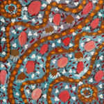 Norissa Nampijinpa Spencer, "Wardapi Jukurrpa (Goanna Dreaming) - Yarripilangu", Acrylic on Linen, 30x30cm, NG7408