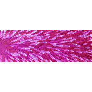 Raymond Walters Penangke, "Emu Feathers", Acrylic on Linen, 120x40cm, NG7421