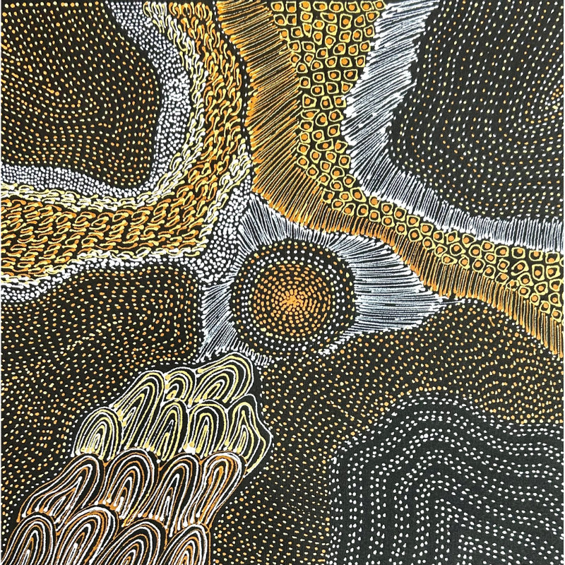 Freda Price Pitjara (Petyarre), “My Country”, Acrylic on Canvas, 45x45cm, NG7525