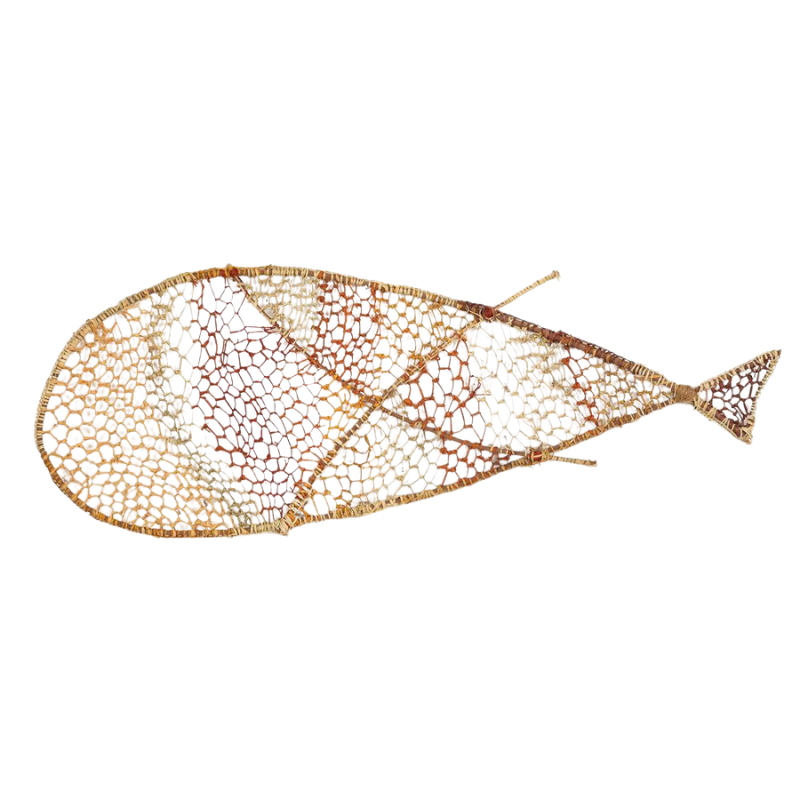 Fish NG242-24