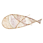 Fish NG242-24