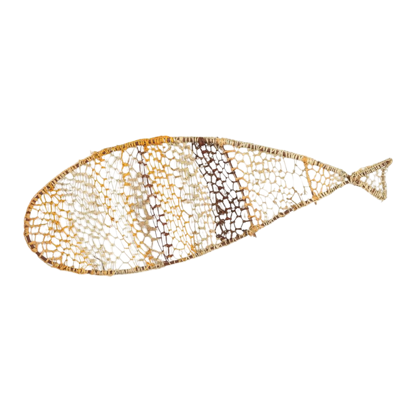 Fish NG243-24