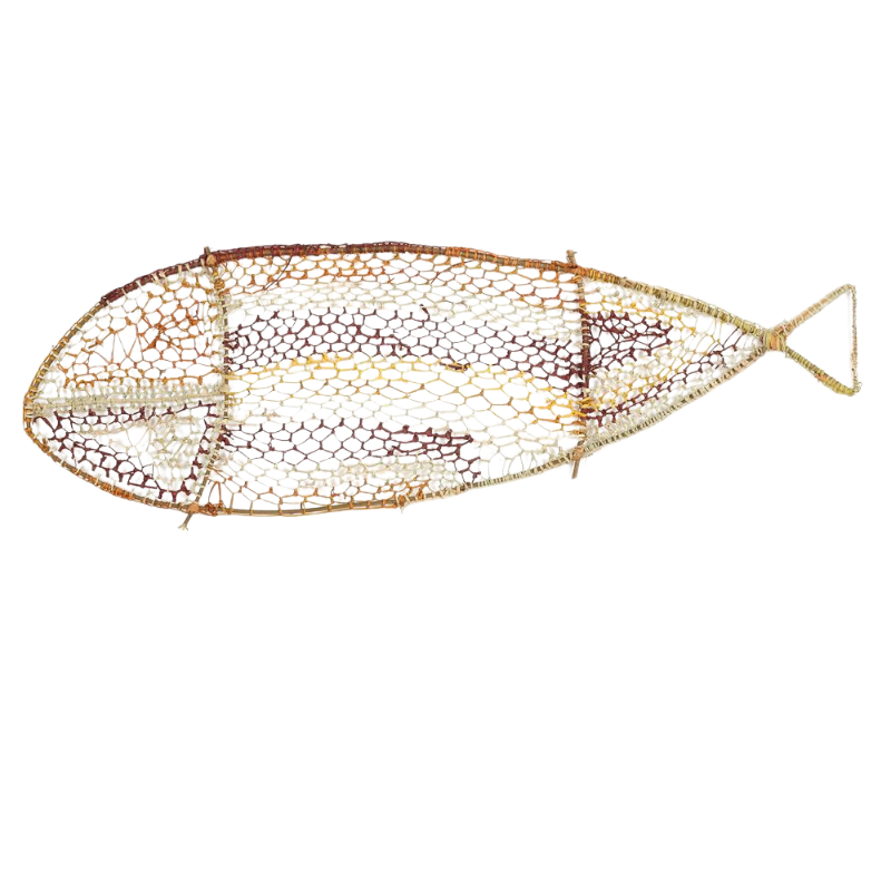 Fish NG491-24