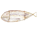 Fish NG491-24
