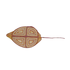 Stingray NG806-24