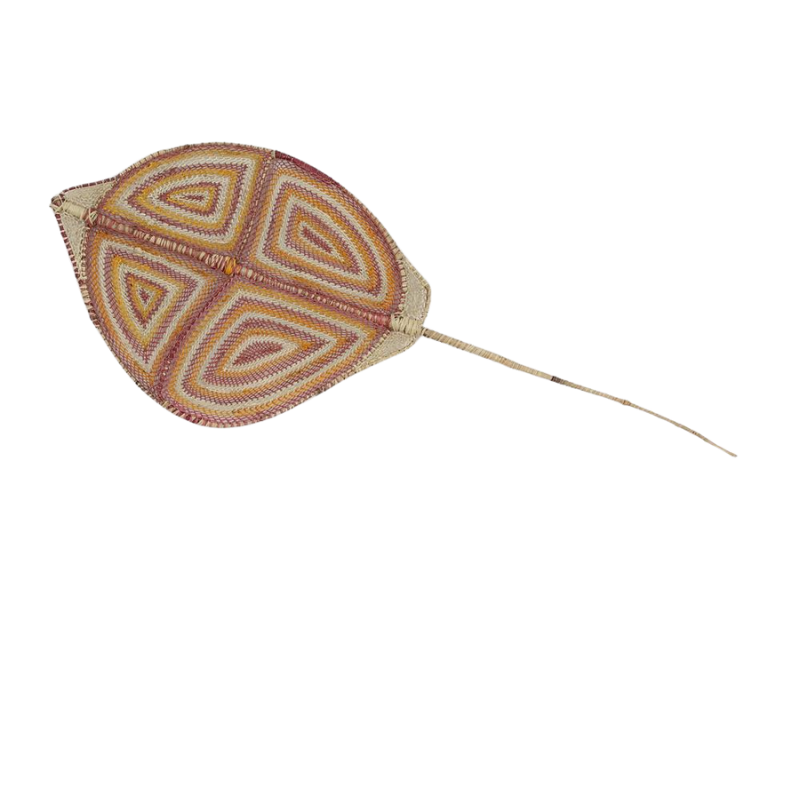 Stingray NG805-24