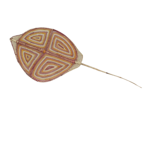 Stingray NG805-24