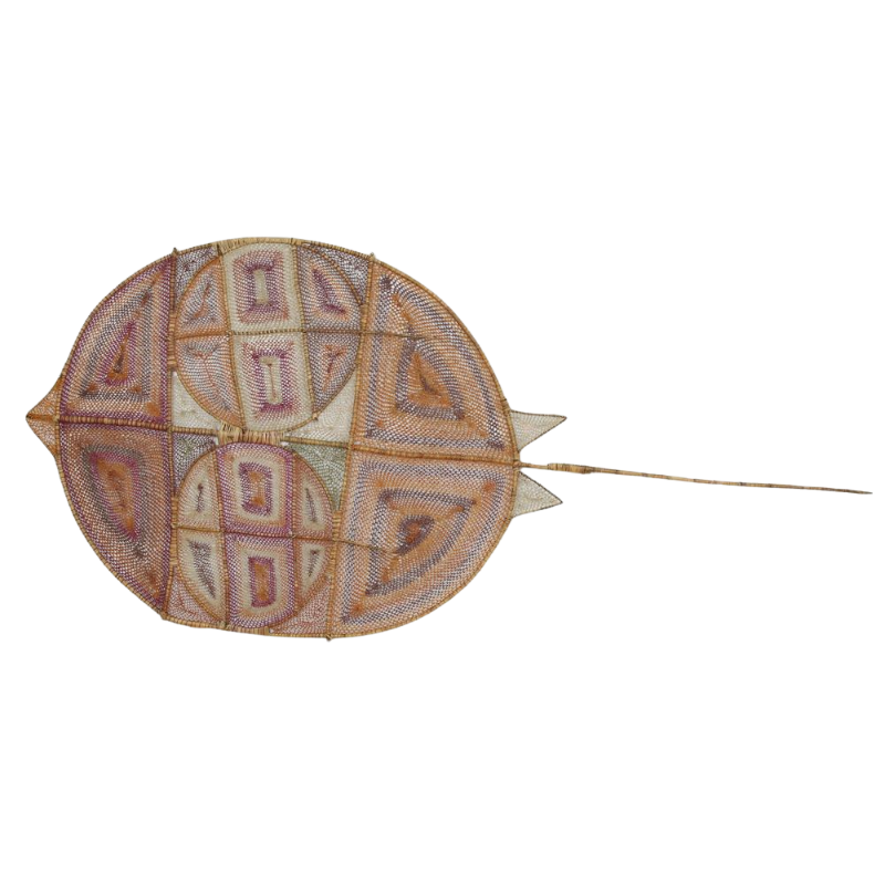 Stingray NG1085-24