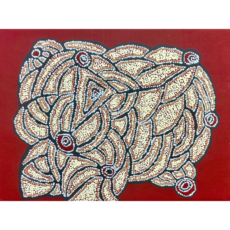 Mary Brown Napangardi, “Women’s Ceremony”, Acrylic on Linen, 61x45cm, NG7438