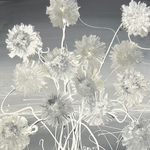 Rowdy Warren, "Wildflowers", Acrylic on Linen, 30x30cm, NG7598