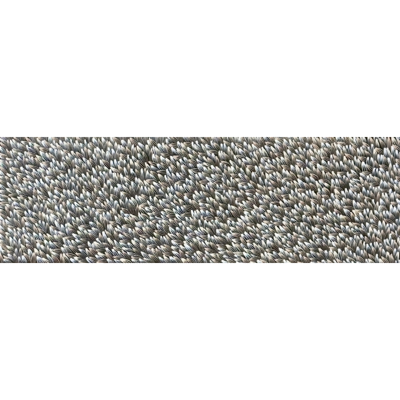 Abie Loy Kemarre, "Medicine Leaf", Acrylic on Canvas, 112x35cm, NG7657