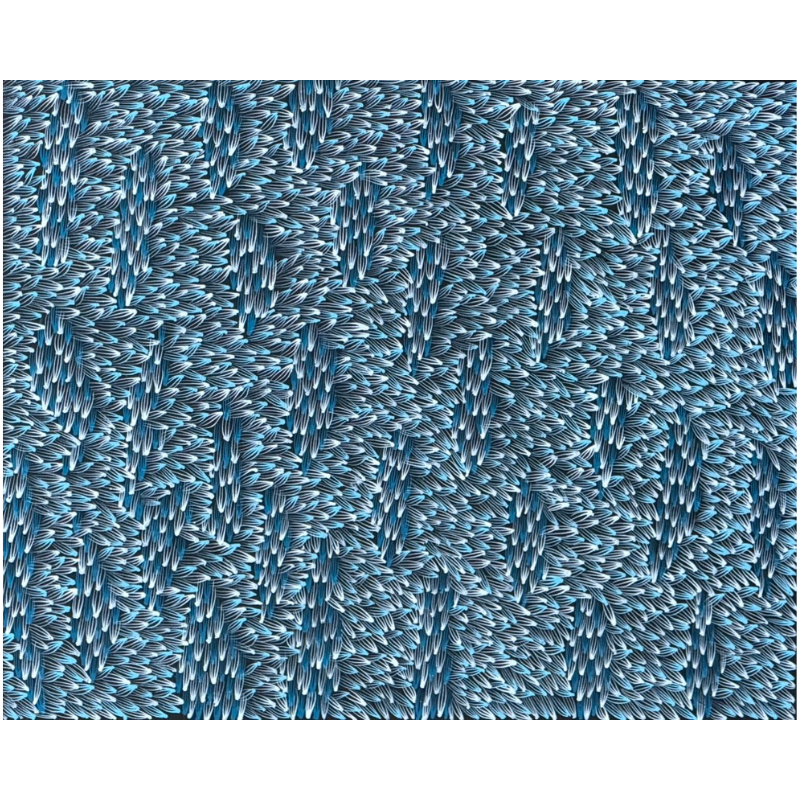 Abie Loy Kemarre, "Medicine Leaf", Acrylic on Canvas, 71x56cm, NG7653