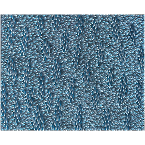 Abie Loy Kemarre, "Medicine Leaf", Acrylic on Canvas, 71x56cm, NG7653