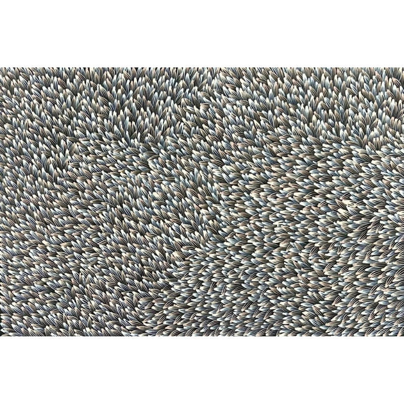 Abie Loy Kemarre, "Medicine Leaf", Acrylic on Canvas, 91x61cm, NG7656