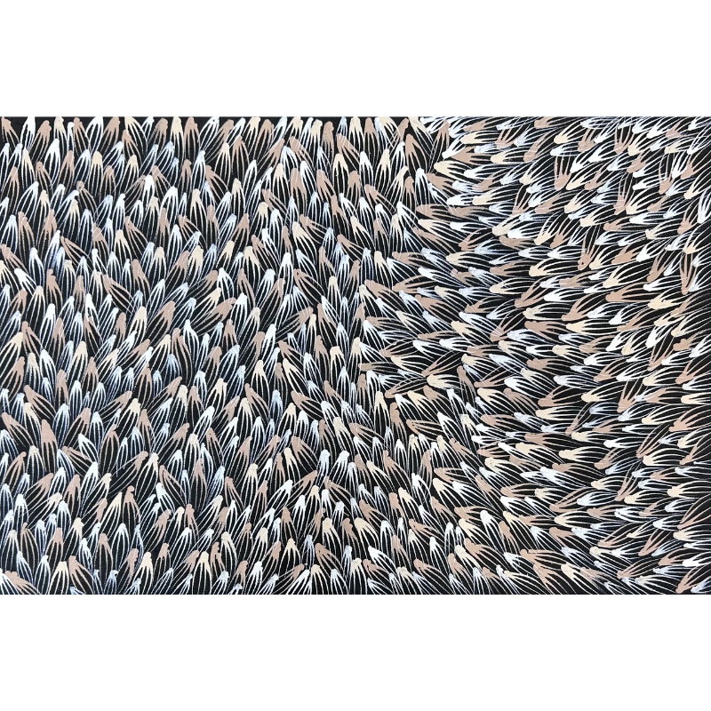 Abie Loy Kemarre, "Medicine Leaf", Acrylic on Canvas, 45x30cm, NG7757