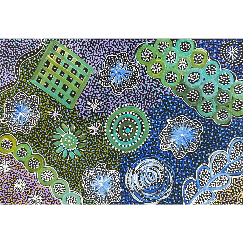 Janet Golder Kngwarreye, “My Country”, Acrylic on Canvas, 45x30cm, NG7727