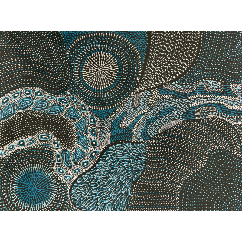 Freda Price Pitjara (Petyarre), “My Country”, Acrylic on Canvas, 61x45cm, NG7696