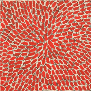 Drusilla Nangala Spencer, “Yuparli Jukurrpa (Bush Banana Dreaming)”, Acrylic on Linen, 30x30cm, NG7779