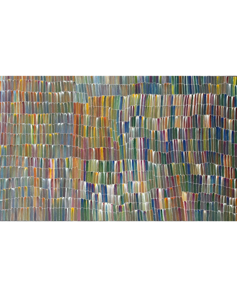 Jeannie Pula Mills, “Bush Potato”, Acrylic on Canvas, 152x91cm, NG7894