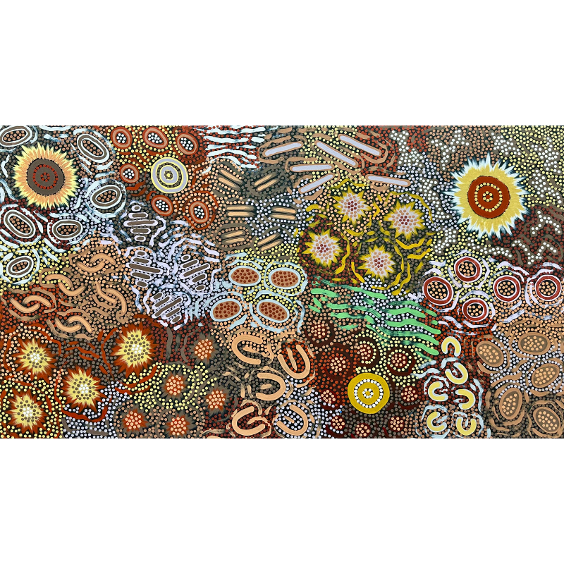 Michelle Possum Nungurrayi, "Grandmother's Country", Acrylic on Canvas, 141x78cm, NG7947
