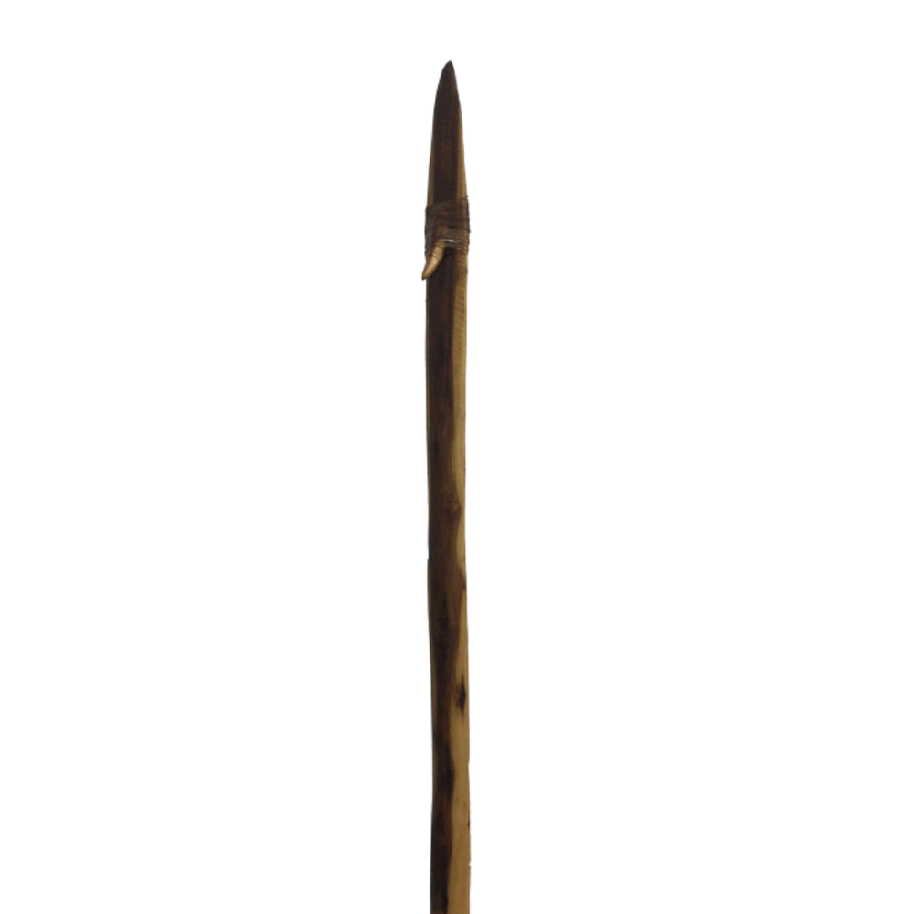 Spear NGFJSpear