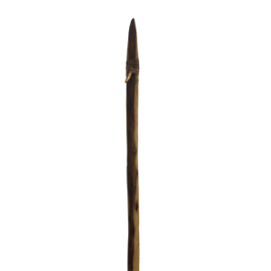 Spear NGFJSpear