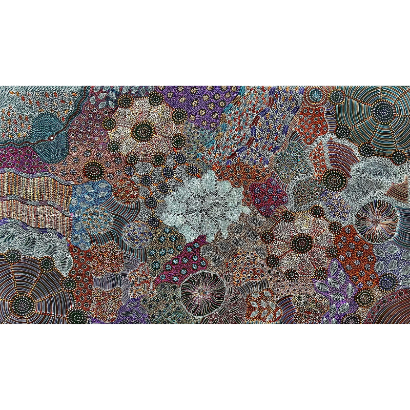 Naomi Pula Price, "Bush Yam, My Mother's Country", Acrylic on Canvas, 152x91cm, NG7270
